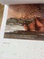 IMG_3937.jpeg
